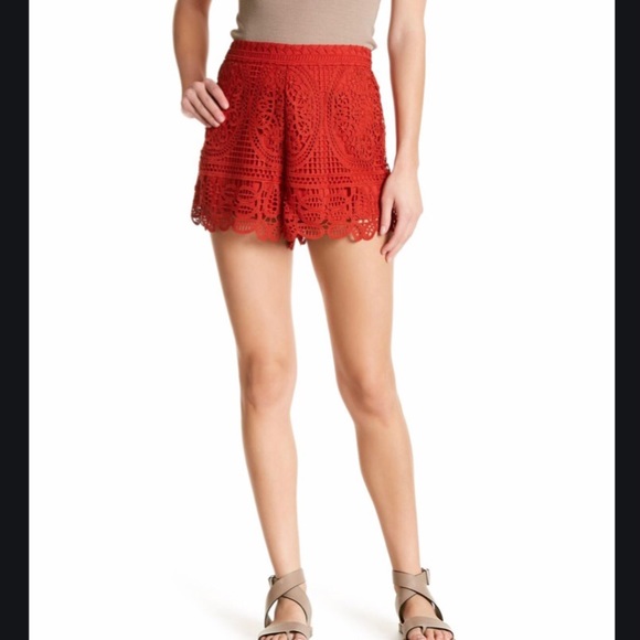 Lovers + Friends lace shorts - Picture 4 of 4